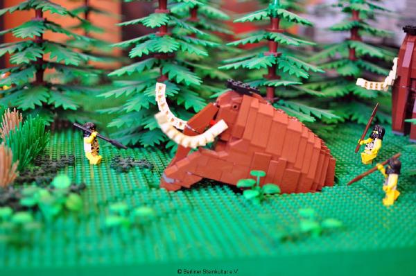 1. SteineWAHN! (2012)