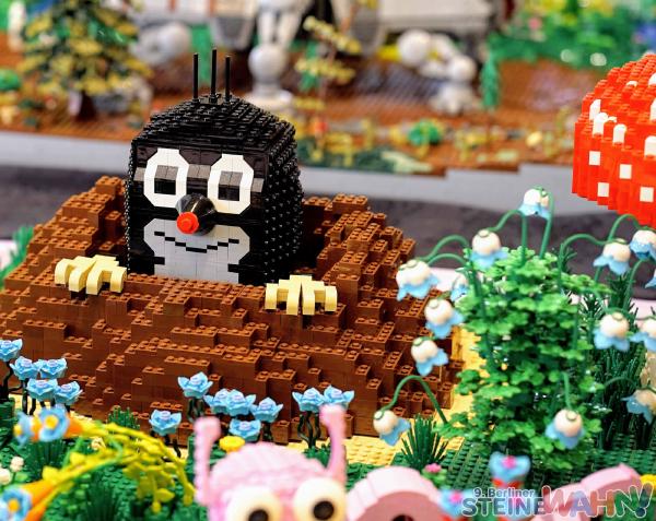 9. SteineWAHN! (2020)